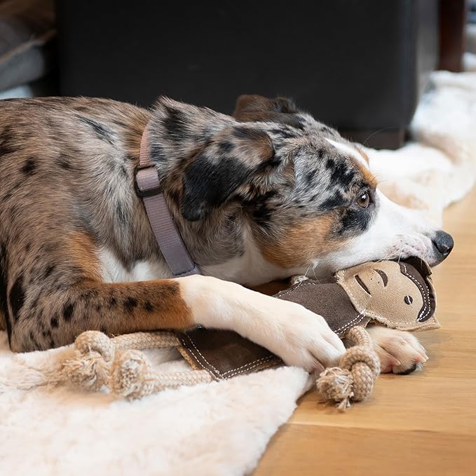 SPOT Dura-Fused Leather Jungle Animals - Dog Toy with Squeakers and Rope Limbs, Real Leather and Jute Chew Toy, Durable No-Stuffing Toy for Light to Moderate Chewers - 14in, Assorted Styles, 1 Piece