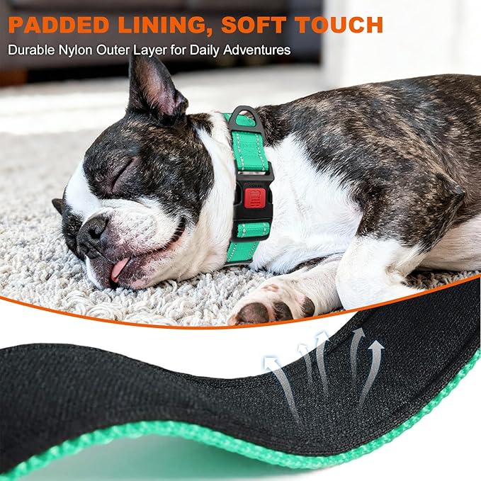 Taglory Reflective Dog Collar with Safety Locking Buckle, Soft Neoprene Padded Dog Collar for Small Dogs, Metal D-Ring, Adjustable Nylon Neck Strap for Daily Walking, Training & Running, Turquoise, S