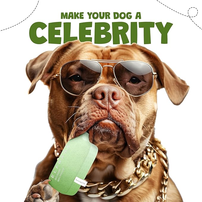 Puff Parody Dog Toy – Funny Squeaky Dog Toys for Interactive Play and Training – Durable, Easy to Clean, Birthday Gifts for Small, Medium and Large Dogs - Mint