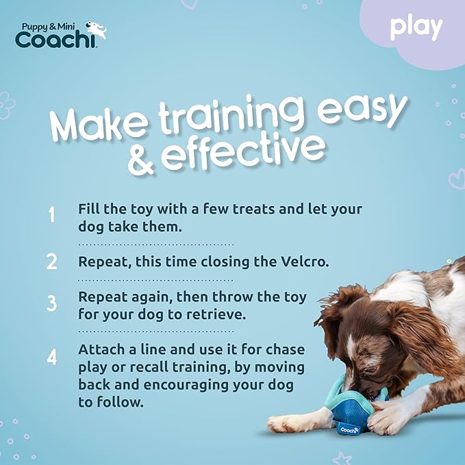 Coachi Puppy & Mini Chase & Treat - Great for Play & Chase, Agility & Distance Training, Encourages Interaction, Good for Motivating, Distance Reward Training & Retrieval. Suitable for Dogs & Puppies