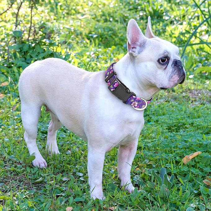 Reflective Dog Collar Padded with Soft Neoprene Breathable Adjustable Nylon Dog Collars for Small Medium Large Dogs (Large (Pack of 1), Purple/Pink Floral Collar+Leash)