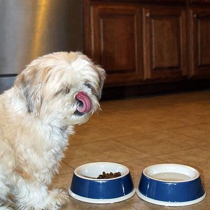 Ecoware Decorated Small Dog Non-Tip/Non-Skid Dish, Light Burlap/Blue Dog (ENT15B)
