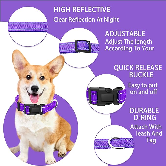 Reflective Dog Collar with Safety Locking Buckle, Adjustable Soft Breathable Nylon Collars for Small, Medium and Large Dogs(Collar+Leash M Purple)