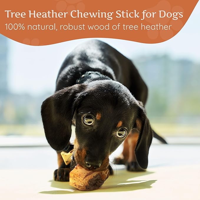 Wildfang® Briar Wood Chewing Root, Small - Splinter Free Wood Dog Chew Toys for Aggressive Chewer, Odorless Natural Teething Toys Dogs Dental Health, Healthy Gums (for Dogs Under 33 lbs), Pack of 3