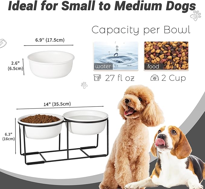 Ceramic Elevated Dog Bowl Set - Raised Food and Water Bowls with Metal Stand - Double Pet Dishes for Small and Medium Dogs - 2 Cups - 27 fl oz - Matte Whit