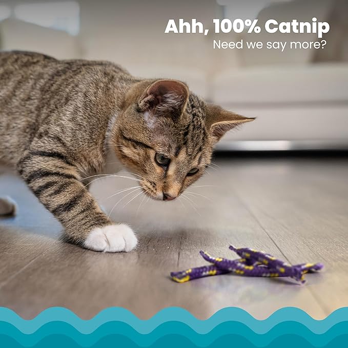 Catstages Nighttime Catnip Rolls Cat Toys - 6 Pack