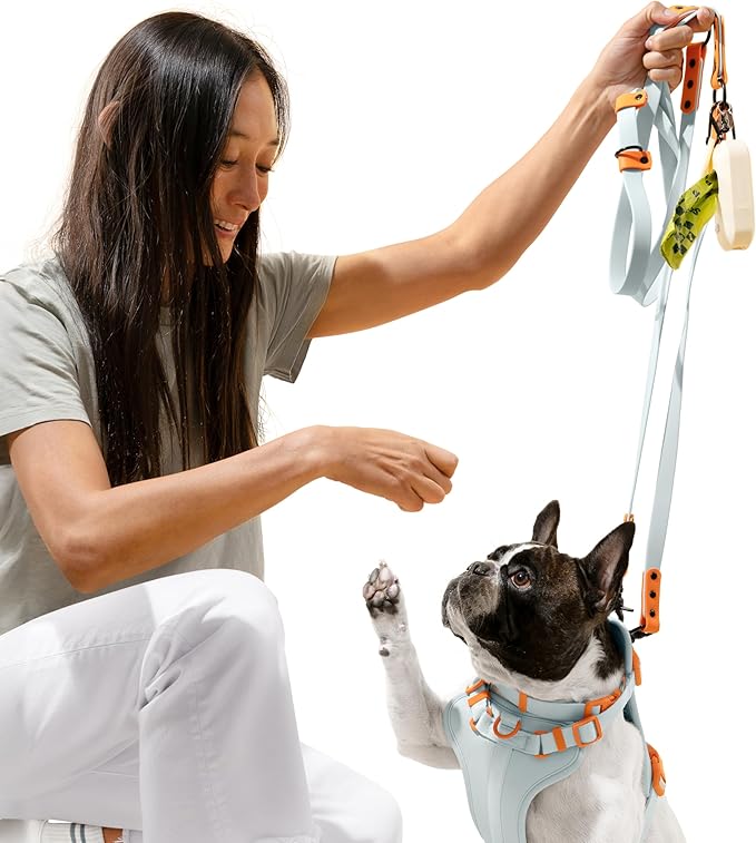 WLK1004D-5SET Luna Small 8FT Adjustable 6-in-1 Waterproof Hands-Free Leash and Collar with LED Flashlight, Bag Dispenser, and Poop Bag Holder, Fishbowl