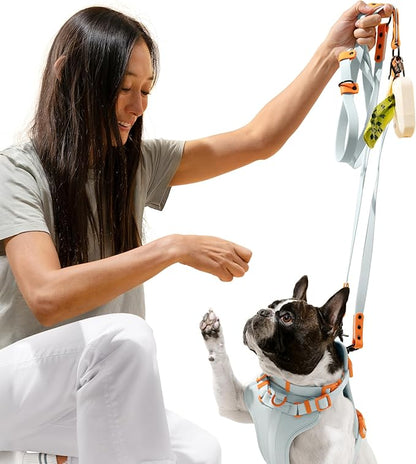 WLK1004D-5SET Luna Small 8FT Adjustable 6-in-1 Waterproof Hands-Free Leash and Collar with LED Flashlight, Bag Dispenser, and Poop Bag Holder, Fishbowl
