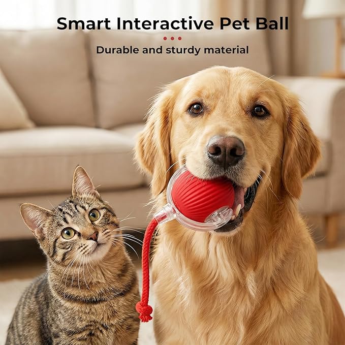 Interactive electric automatic 360 rolling USB rechargeable motion-sensing toy smart chasing cat ball, equipped with a quick tail rope, specially designed for active adult cats and indoor dogs.