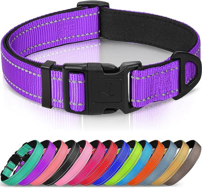 Joytale Reflective Dog Collar, Soft Neoprene Padded, Metal D-Ring, Nylon Pet Collar Adjustable for Puppy and Small Dogs, Purple, XS