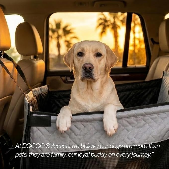 Dog Car Seat Cover with Hard Bottom – Back Seat Extender for Small & Medium Dogs, Waterproof & Non-Slip Hammock, Reinforced & Stable Design with Storage Pockets for Cars, SUVs & Trucks (Gray)