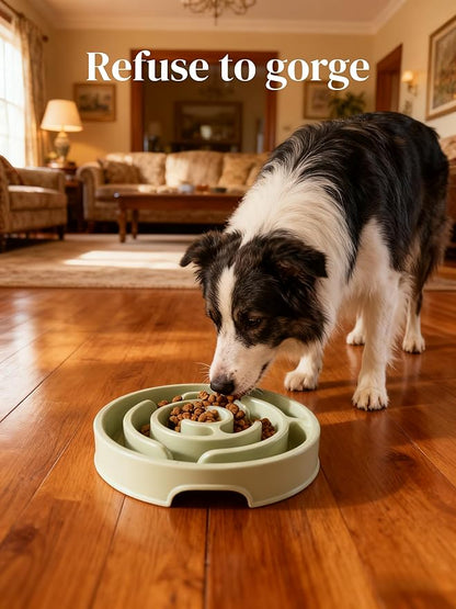 Pet Slow Feeder Bowl - Anti-Choking Maze Design, Universal for Dogs & Cats, Anti-Slip & Anti-Tip (Bowl-Light Green)