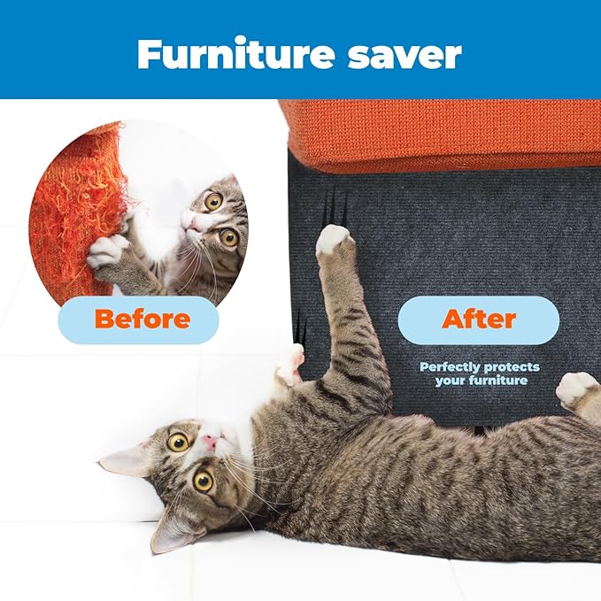 Best Pet Supplies Catify Cat Scratcher, Fun Interactive Scratchers, Posts, Poles, Claw Safe, Furniture Saver Indoor Play Support Natural Cat Behaviors Heavy Duty - Gray, 78.7 x 15.8