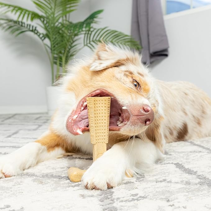 SPOT Bam-Bones Plus T-Bone Dog Chew Toy, Bamboo Fiber & Nylon, Chicken Flavor, Durable Non-Splintering Chew for Moderate to Aggressive Chewers, Dogs 30-60 lbs, 6 Inch