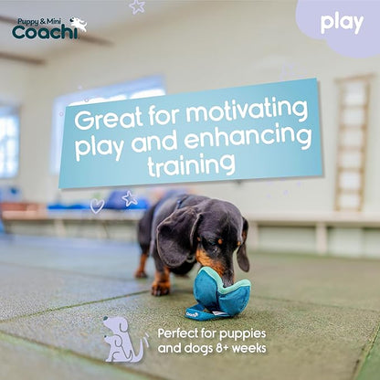 Coachi Puppy & Mini Chase & Treat - Great for Play & Chase, Agility & Distance Training, Encourages Interaction, Good for Motivating, Distance Reward Training & Retrieval. Suitable for Dogs & Puppies