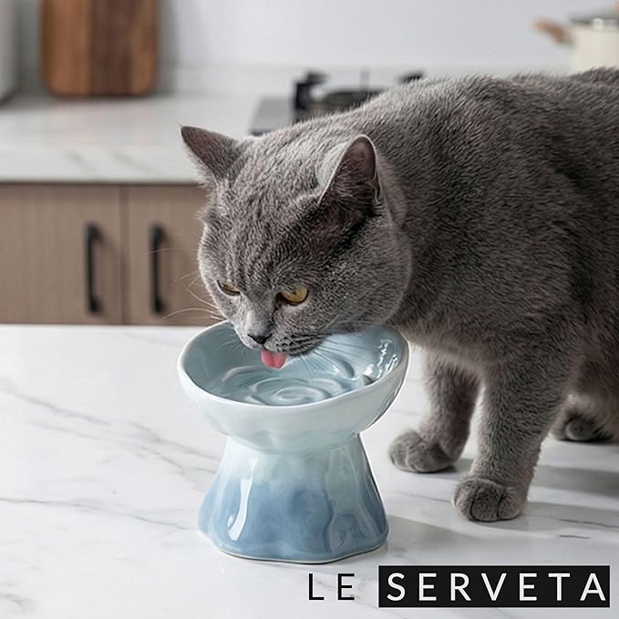 Elevated Ceramic Cat Bowl, Tilted Slow Feeder Pet Dish with Gradient Color Coating, 3.3 Ounces Capacity, Anti-Gulping Design with Rose Bouquet Design (Gradient Blue)
