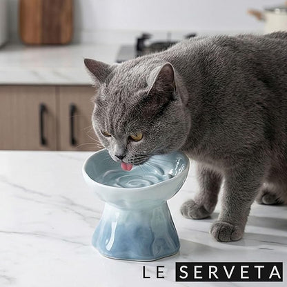 Elevated Ceramic Cat Bowl, Tilted Slow Feeder Pet Dish with Gradient Color Coating, 3.3 Ounces Capacity, Anti-Gulping Design with Rose Bouquet Design (Gradient Blue)