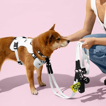 WLK1004F-5SET Luna Small 8FT Adjustable 6-in-1 Waterproof Hands-Free Leash and Collar with LED Flashlight, Bag Dispenser, and Poop Bag Holder, Seltzer