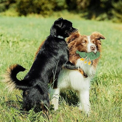 Pickle Squeaky Dog Toy, Funny Durable Dog Squeaky Toys for Aggressive Chewers Cute Plush Stuffed Pickle Toy Chewy Dog Toys for Small/Medium/Large Weed Dog Exercise and Accompany