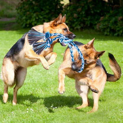 BINGPET 2 Pack Dog Rope Toy for Large and Medium Dogs,Heavy Duty Tug of War Dog Toy,Cotton Tough Dog Chew Teething Toys for Aggressive Chewers