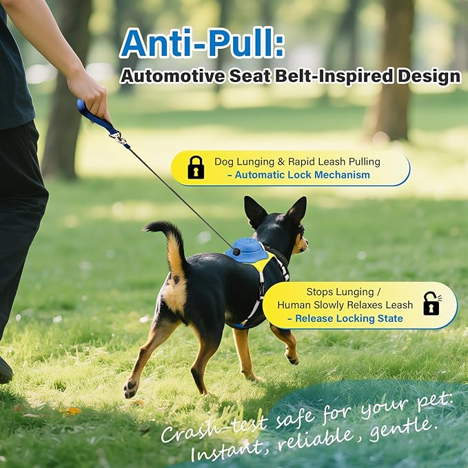 No Pull Dog Harness, 2 in 1 Retractable Harness with Auto-Lock, Reflective Breathable Mesh and Handle, Adjustable Leash Set for Small, Medium,Large Dogs,Cats (Color 2, XS)