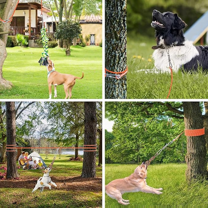 Dog Bungee Hanging Toy, Spring Pole Rope Pull & Tug of War Toy for Aggressive Chewers Middle Large Dogs to Exercise Solo Play, Interactive Tether Tug Outdoor Dog Toy with 2 Chew Ropes
