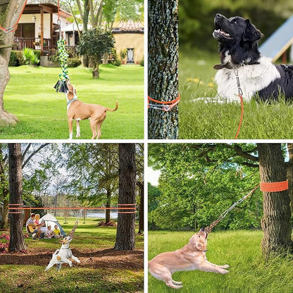 Dog Bungee Hanging Toy, Spring Pole Rope Pull & Tug of War Toy for Aggressive Chewers Middle Large Dogs to Exercise Solo Play, Interactive Tether Tug Outdoor Dog Toy with 2 Chew Ropes
