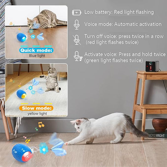 Interactive Cat Toys: Agile Moving Ball with Elastic Mesh Tail for Indoor Cats and Kittens