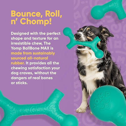 Yomp BallBone MAX: All-Natural Rubber Dog Toy, Nontoxic, Safe for Pet Play, Teal Color, Dishwasher and Freezer Safe for Teething Relief and Easy Clean up