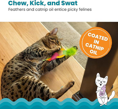 Catstages Dental Pineapple Teether – Chew Toy for Cats and Kittens – Textured Fabric and Mesh – Coated in Catnip Oil – Supports Teething Relief