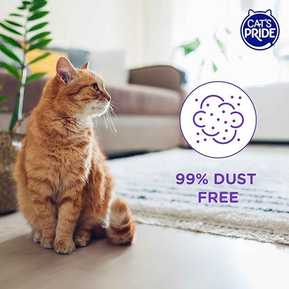 Cat’s Pride Micro Crystals Cat Litter, Non-Clumping, Scented, 30-Day Odor Control, 99% Dust Free, Lightweight, Soft on Paws, 6.5lb Bag