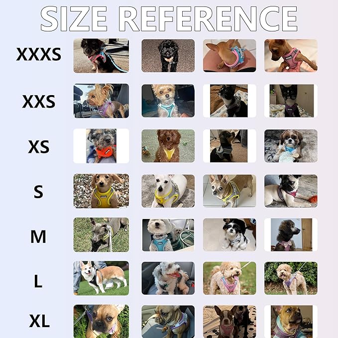 AIITLE Escape Proof Dog Harness - Step in Adjustable Dog Harness No Choke Over with Breathable Mesh and Quick-Release Buckle for All Weather- Outdoor Walking, Training for Medium Dogs Turquoise XL