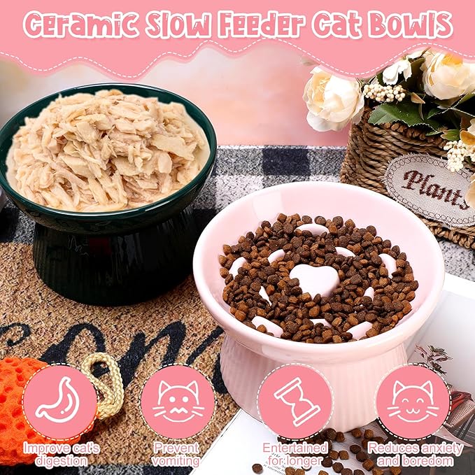 Tioncy 2 Pcs Raised Cat Slow Feeder Bowl Ceramic Elevated Cat Dog Food Bowl No Spill High Edge for Dry Wet Food and Water Easy to Clean, Dishwasher Safe (Pink,Dark Green)