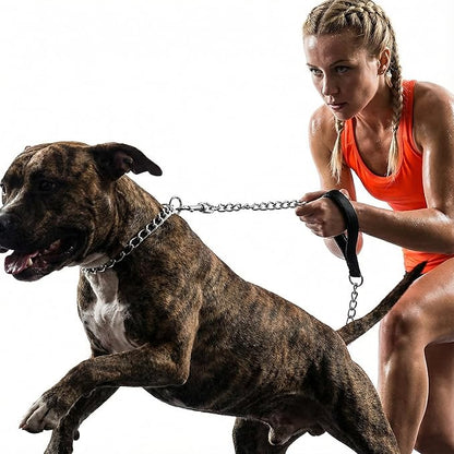 CtopoGo Heavy Duty Dog Leash,Metal Dog Chain Leash with Padded Handle for Large & Medium Size Dogs (6 ft. x 3.0 mm (25-120 lbs.))