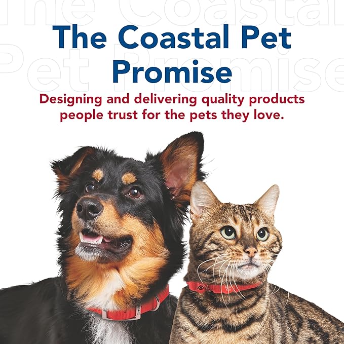 Coastal Pet Single-Ply Dog Leash - Sturdy Pet Leash - Comfortable & Stylish - Resists Fraying - Vibrant & Fade-Resistant Color - Hunter, 1" x 6'