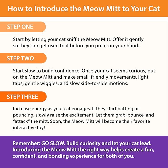 Pounce & Purr® Meow Mitt Wearable Cat Toy – Cat Wrestling Glove, “Chippy McGee” Plush Mitten with Catnip & Silvervine, Crinkle Sounds & Dangling Arms for Bonding Play with Cats & Kittens (Squirrel)
