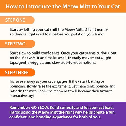 Pounce & Purr® Meow Mitt Wearable Cat Toy – Cat Wrestling Glove, “Chippy McGee” Plush Mitten with Catnip & Silvervine, Crinkle Sounds & Dangling Arms for Bonding Play with Cats & Kittens (Squirrel)