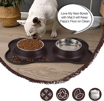 Dog Bowls 2 Stainless Steel Bowl for Pet Water and Food Feeder with Non Spill Skid Resistant Silicone Mat for Pets Puppy Small Medium Cats Dogs