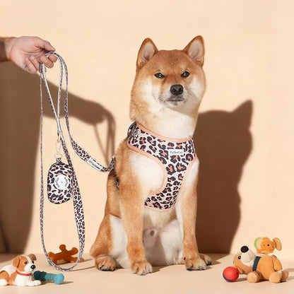 5 FT Stylish Dog Leash, Soft Dog Leashes with Comfortable Padded Handle, Metal Carabiner Clip, Strong No Pull Pet Leash for Small Medium Dogs for Walking, Shopping and Running