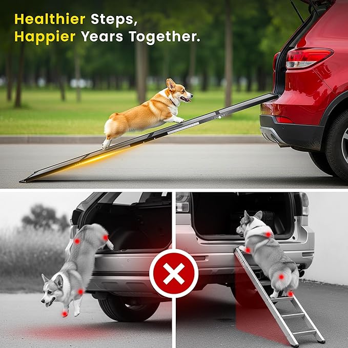 Portable Dog Ramp for Car – Foldable Dog Car Ramp for Truck, SUV, High Bed & Sofa with Anti-Slip Feet & Traction Carpet – Small to Large Breeds (71" Long & 17" Wide)