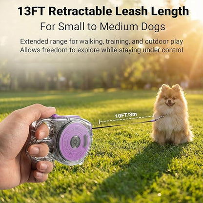 Retractable Dog Leash for Small Dogs, 10ft Retractable Leash for Puppies Up to 26 lbs, 360° Tangle-Free Heavy Duty Nylon Tape, One-Handed Brake Pause Lock, Reflective Strip for Safe Night Walking