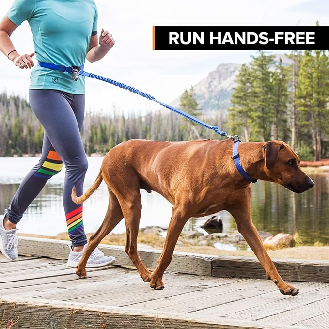 Stunt Puppy Stunt Runner Hands-Free Dog Leash, Red
