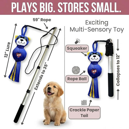 Flirt Pole for Dogs Heavy Duty - Multi-Sensory Tough Chase Toy for Medium & Large Breeds – Extra Strong 35" Dog Teaser Wand for Backyard Play, Training and Interactive Fun (Raccoon)