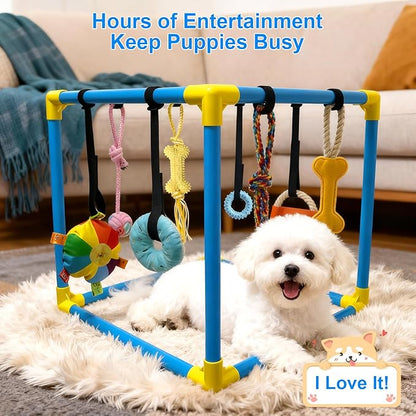 Puppy Play Gym with 8 Hanging Toys - Indoor Jungle Gym for Small Dogs, Interactive Enrichment Activity Center for Puppies, 19.5" PVC Frame with Teething Squeaky Toys to Keep Them Busy