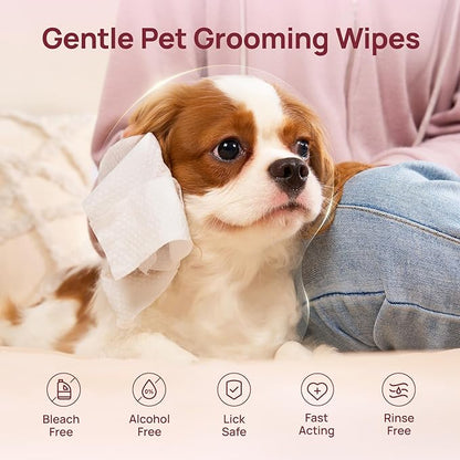 HICC PET Wipes for Dogs and Cats, Vet-Recommended Pets Cleaning Wipes, Deodorizing Hydrating, Nourishes Smoothes Fur, Fermented Coconut Oil Grooming Horse Skin, Coat & Hoof, Unscented, 100 Count