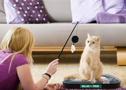 Pets First NHL Dallas Stars Hockey Field Scratching Cat Toy with Interactive Cat Ball Bell and Tracks