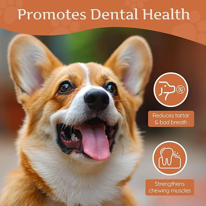 Wildfang® Briar Wood Chewing Root, Medium - Splinter Free Wood Dog Chew Toys for Aggressive Chewer, Odorless Natural Teething Toys Dogs Dental Health, Healthy Gums (for Dogs 33-55 lbs), Pack of 3