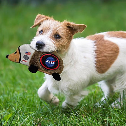 NASA Plush Hedgehog Toy for Dogs & Cats, Cool Soft Pet Toy for Fun and Interactive Play, Dog Chew Toy with Squeaker