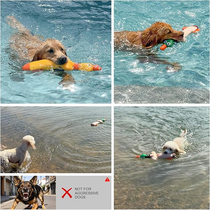 BEAUTYZOO Floating Dog Water Pool Toys 2 Pack - Squeaky Duck Design Pool Toys for Medium/Large Dogs, Dock Diving & Fetch Training, Durable Summer Water Dog Toy
