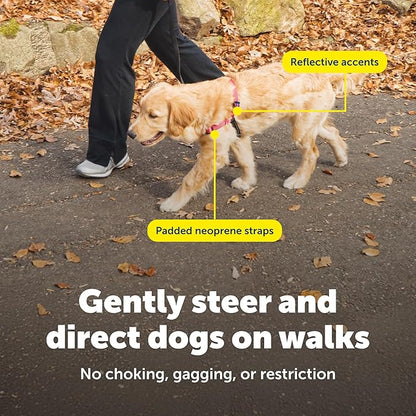 PetSafe Deluxe Easy Walk Harness - Trainer-Trusted Dog Chest Harness with Breathable Martingale Loop Design - Helps Stop Pulling with No Choking & Gagging - Medium - Rose